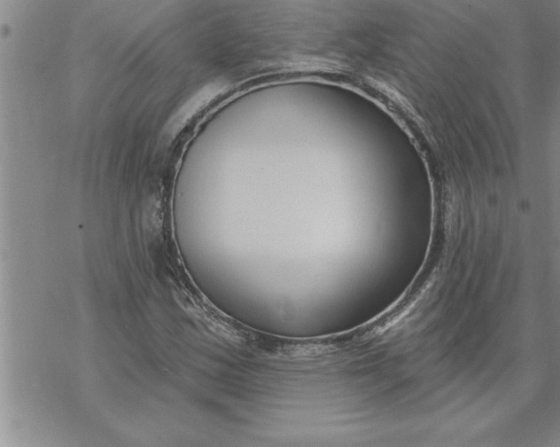 X0000069841163200606021354