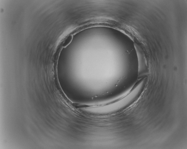 X0000069841164200606021354