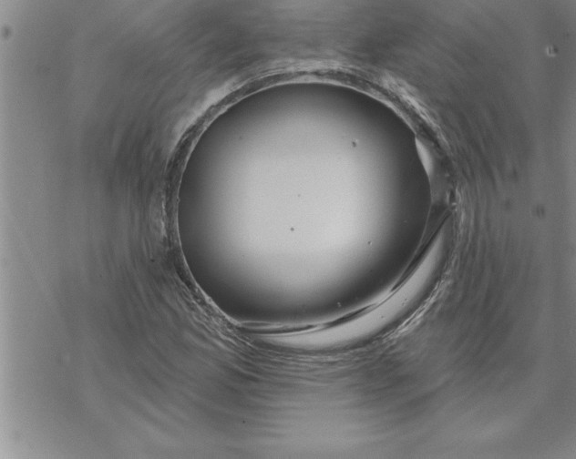 X0000069841165200606021354