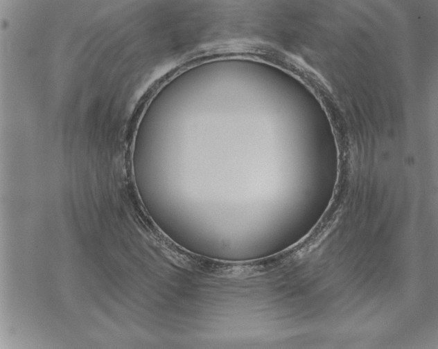 X0000069841166200606021354