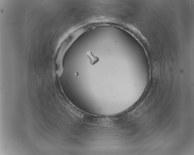 X0000069841167200606021354