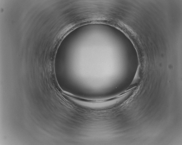 X0000069841169200606021354