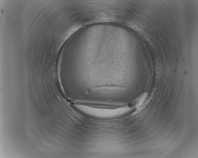 X0000069841170200606021354