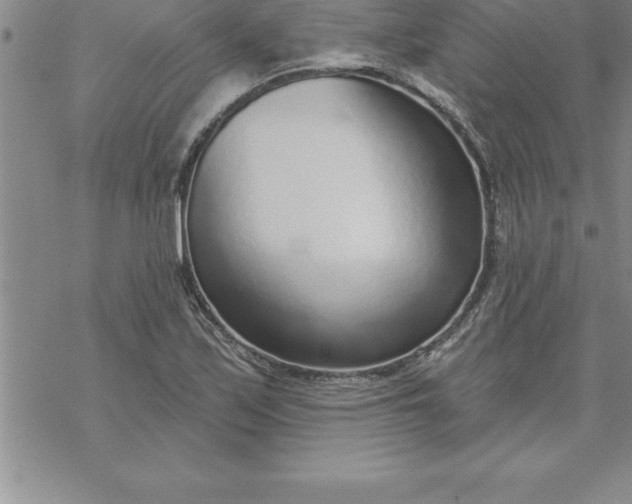 X0000069841171200606021354