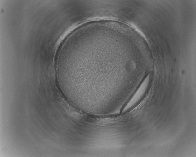 X0000069841173200606021354