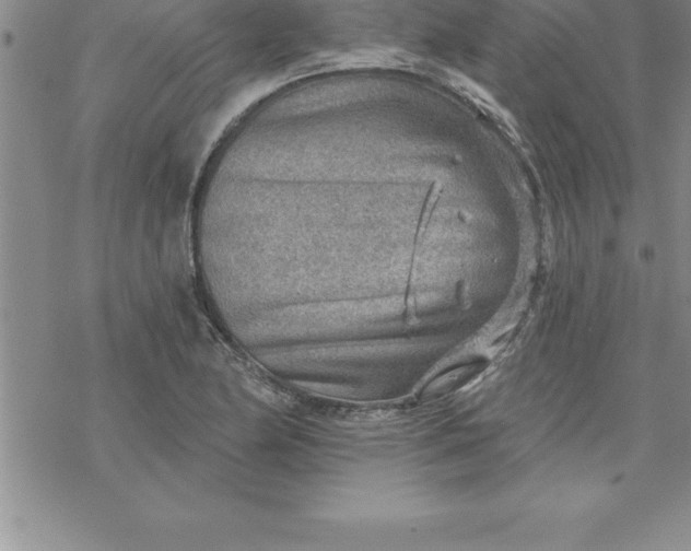 X0000069841174200606021354