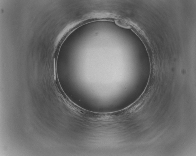 X0000069841175200606021354