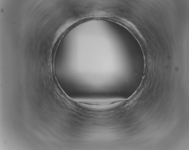 X0000069841176200606021354