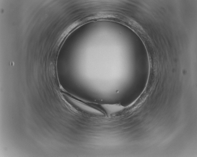 X0000069841177200606021354