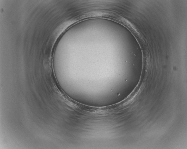 X0000069841178200606021354