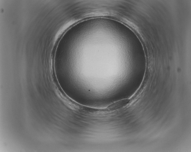 X0000069841179200606021354