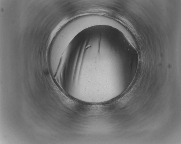 X0000069841180200606021354