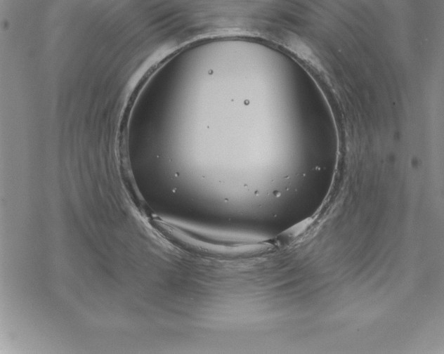 X0000069841181200606021354