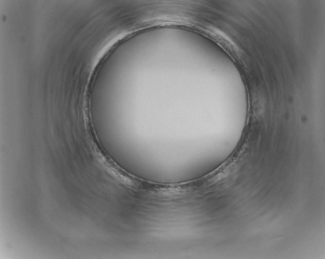 X0000069841182200606021354