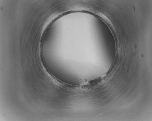 X0000069841183200606021354