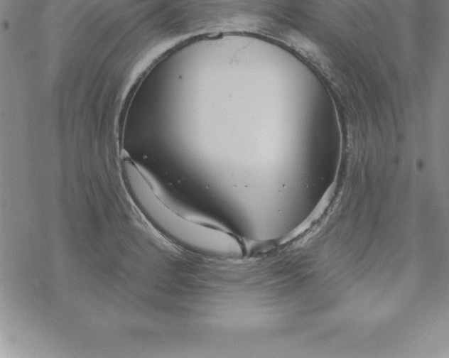 X0000069841184200606021354