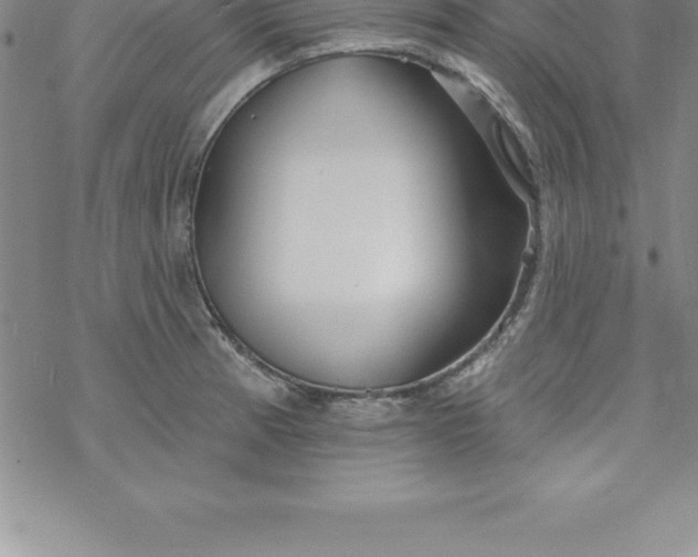 X0000069841185200606021354