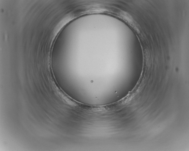 X0000069841186200606021354