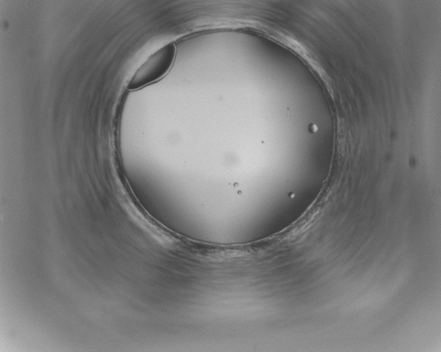 X0000069841187200606021354