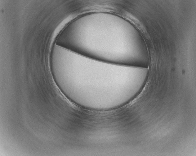 X0000069841188200606021354