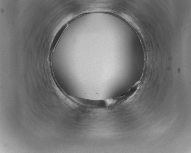 X0000069841189200606021354