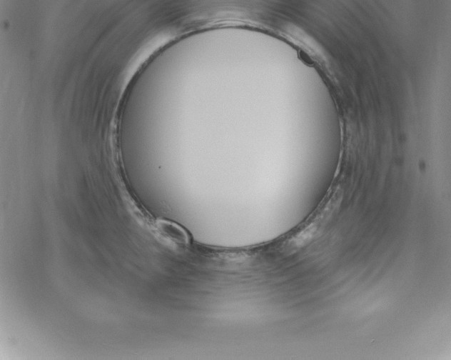 X0000069841190200606021354