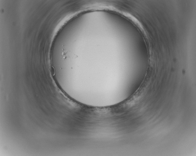 X0000069841191200606021354