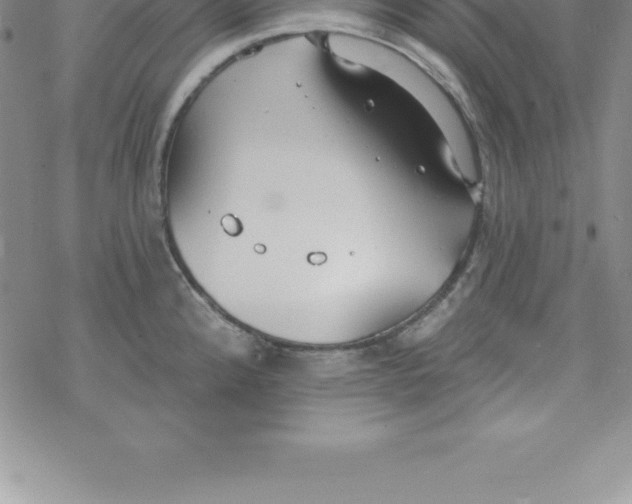 X0000069841192200606021354