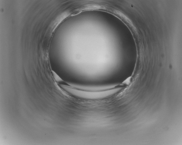 X0000069841193200606021354