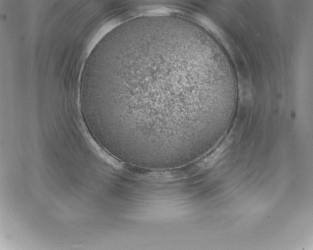 X0000069841194200606021354