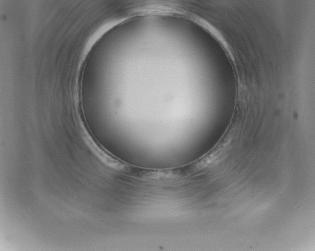 X0000069841195200606021353