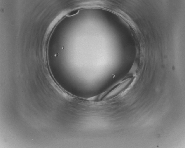 X0000069841196200606021353