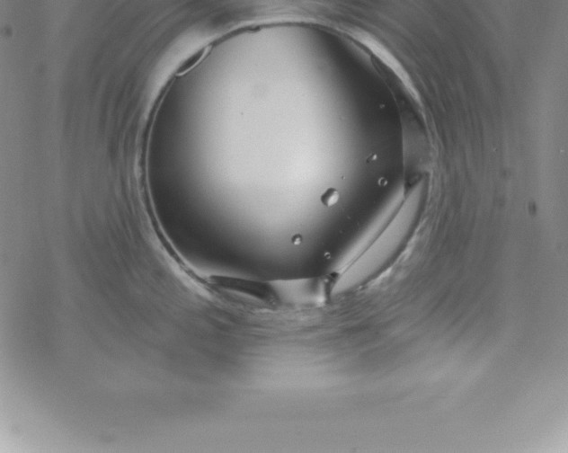 X0000069841197200606021353