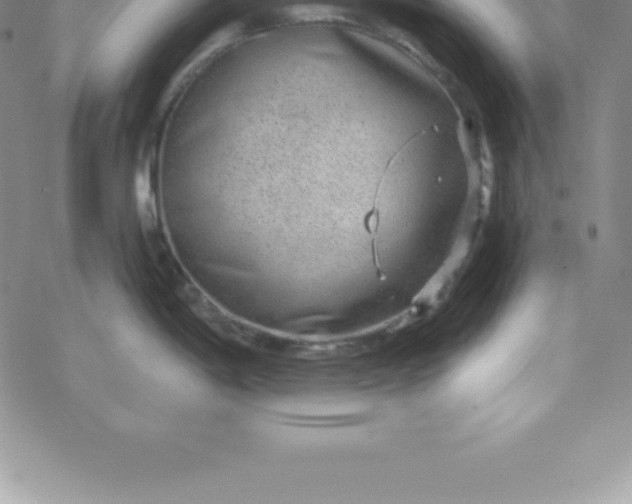 X0000069841198200606021353