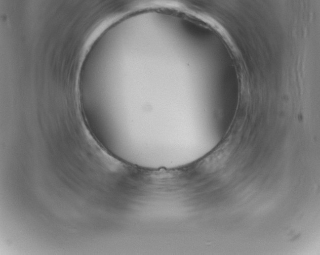 X0000069841199200606021353