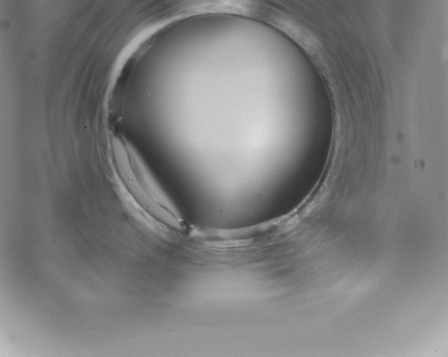 X0000069841200200606021353