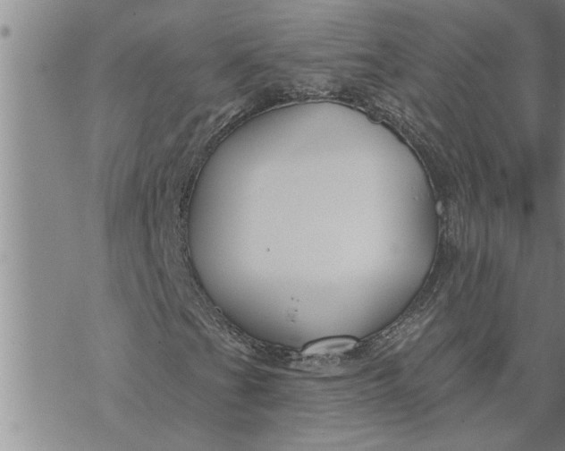 X0000069841201200606021353