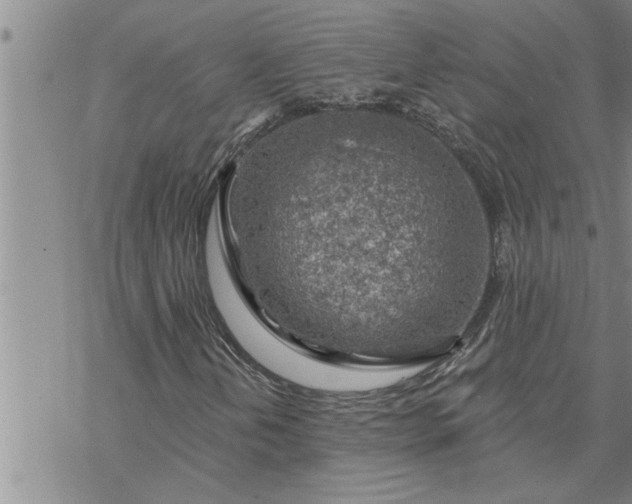 X0000069841202200606021353