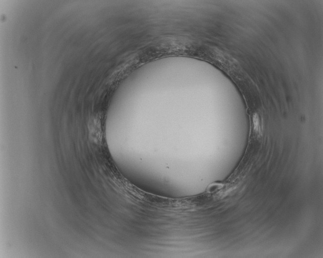 X0000069841203200606021353