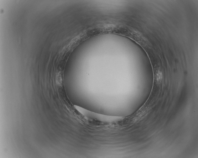 X0000069841204200606021353