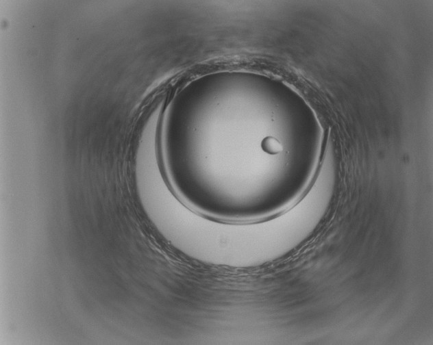 X0000069841206200606021353