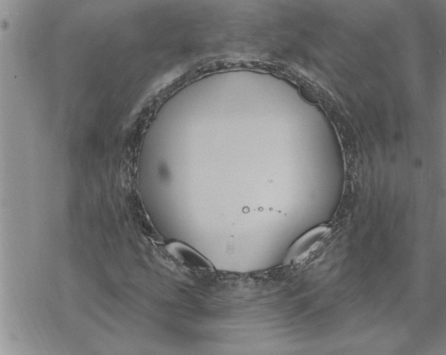 X0000069841207200606021353