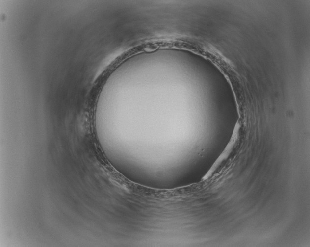 X0000069841208200606021353