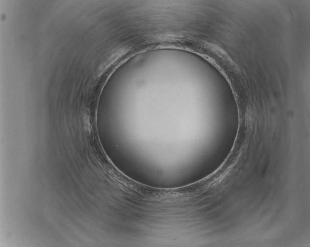 X0000069841209200606021353