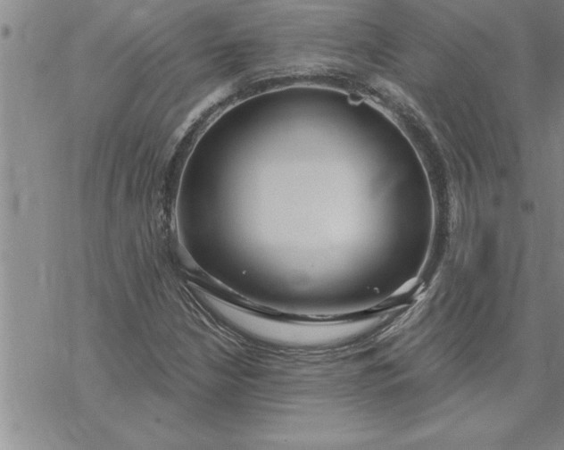 X0000069841210200606021353