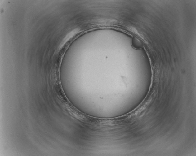 X0000069841211200606021353