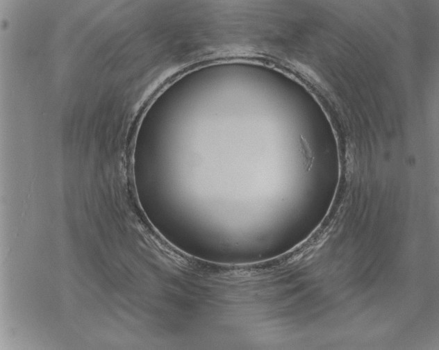 X0000069841212200606021353