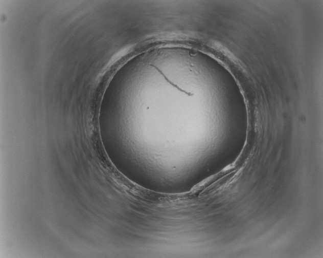 X0000069841213200606021353