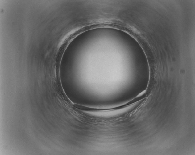 X0000069841214200606021353