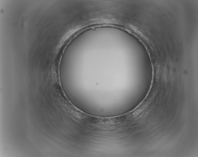 X0000069841215200606021353